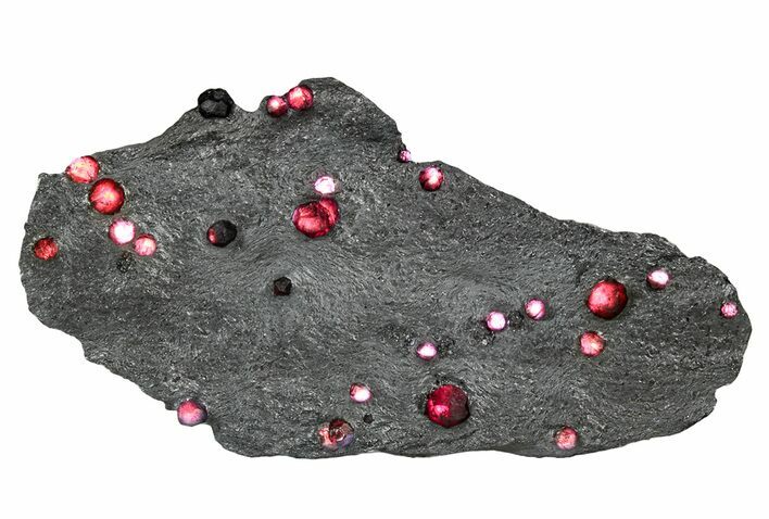 Plate of + Red Embers Garnets in Graphite - Massachusetts #301213